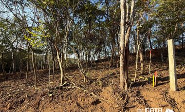 LOTE EN VENTA TAHUECA