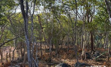 LOTE EN VENTA TAHUECA