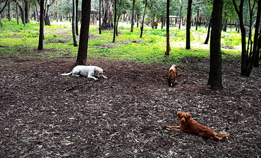 CASA EN PRADO VALLEJO (a 5 minutos del metro Politécnico)