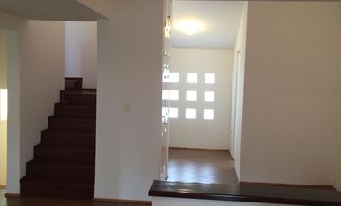 Hombult centro de cuernavaca morelos