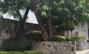 Hombult centro de cuernavaca morelos