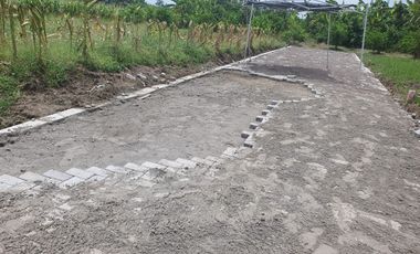 Tanah pekarangan murah siap bangun balongbendo sidoarjo ukuran gede gede