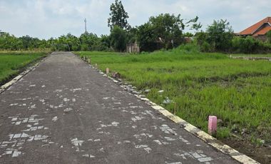 Tanah pekarangan murah siap bangun balongbendo sidoarjo ukuran gede gede