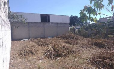TERRENO EN VENTA EN ACATEPEC