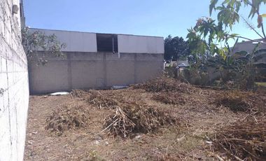 TERRENO EN VENTA EN ACATEPEC