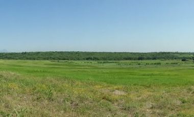 RANCHO EN VENTA EN CADEREYTA JIMENEZ, NUEVO LEON, ACTUALMENTE OPERANDO,TIERRAS MUY FERTILES, ABUNDANTE AGUA, FLORA Y FAUNA, 76.52 HAS,