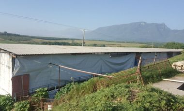 RANCHO EN VENTA EN CADEREYTA JIMENEZ, NUEVO LEON, ACTUALMENTE OPERANDO,TIERRAS MUY FERTILES, ABUNDANTE AGUA, FLORA Y FAUNA, 76.52 HAS,