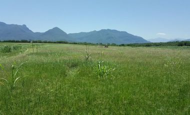 RANCHO EN VENTA EN CADEREYTA JIMENEZ, NUEVO LEON, ACTUALMENTE OPERANDO,TIERRAS MUY FERTILES, ABUNDANTE AGUA, FLORA Y FAUNA, 76.52 HAS,