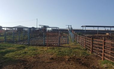 RANCHO EN VENTA EN CADEREYTA JIMENEZ, NUEVO LEON, ACTUALMENTE OPERANDO,TIERRAS MUY FERTILES, ABUNDANTE AGUA, FLORA Y FAUNA, 76.52 HAS,