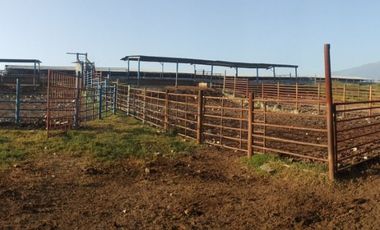 RANCHO EN VENTA EN CADEREYTA JIMENEZ, NUEVO LEON, ACTUALMENTE OPERANDO,TIERRAS MUY FERTILES, ABUNDANTE AGUA, FLORA Y FAUNA, 76.52 HAS,