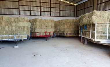 RANCHO EN VENTA EN CADEREYTA JIMENEZ, NUEVO LEON, ACTUALMENTE OPERANDO,TIERRAS MUY FERTILES, ABUNDANTE AGUA, FLORA Y FAUNA, 76.52 HAS,