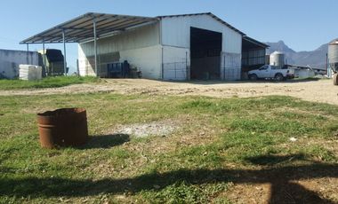 RANCHO EN VENTA EN CADEREYTA JIMENEZ, NUEVO LEON, ACTUALMENTE OPERANDO,TIERRAS MUY FERTILES, ABUNDANTE AGUA, FLORA Y FAUNA, 76.52 HAS,