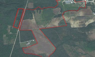 RANCHO EN VENTA EN CADEREYTA JIMENEZ, NUEVO LEON, ACTUALMENTE OPERANDO,TIERRAS MUY FERTILES, ABUNDANTE AGUA, FLORA Y FAUNA, 76.52 HAS,