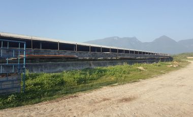 RANCHO EN VENTA EN CADEREYTA JIMENEZ, NUEVO LEON, ACTUALMENTE OPERANDO,TIERRAS MUY FERTILES, ABUNDANTE AGUA, FLORA Y FAUNA, 76.52 HAS,