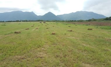 RANCHO EN VENTA EN CADEREYTA JIMENEZ, NUEVO LEON, ACTUALMENTE OPERANDO,TIERRAS MUY FERTILES, ABUNDANTE AGUA, FLORA Y FAUNA, 76.52 HAS,