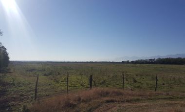 RANCHO EN VENTA EN CADEREYTA JIMENEZ, NUEVO LEON, ACTUALMENTE OPERANDO,TIERRAS MUY FERTILES, ABUNDANTE AGUA, FLORA Y FAUNA, 76.52 HAS,