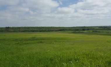 RANCHO EN VENTA EN CADEREYTA JIMENEZ, NUEVO LEON, ACTUALMENTE OPERANDO,TIERRAS MUY FERTILES, ABUNDANTE AGUA, FLORA Y FAUNA, 76.52 HAS,