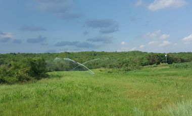 RANCHO EN VENTA EN CADEREYTA JIMENEZ, NUEVO LEON, ACTUALMENTE OPERANDO,TIERRAS MUY FERTILES, ABUNDANTE AGUA, FLORA Y FAUNA, 76.52 HAS,