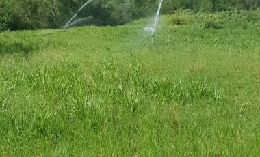 RANCHO EN VENTA EN CADEREYTA JIMENEZ, NUEVO LEON, ACTUALMENTE OPERANDO,TIERRAS MUY FERTILES, ABUNDANTE AGUA, FLORA Y FAUNA, 76.52 HAS,