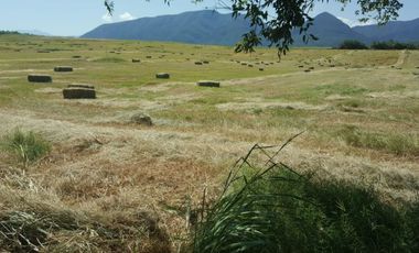 RANCHO EN VENTA EN CADEREYTA JIMENEZ, NUEVO LEON, ACTUALMENTE OPERANDO,TIERRAS MUY FERTILES, ABUNDANTE AGUA, FLORA Y FAUNA, 76.52 HAS,