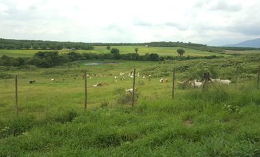 RANCHO EN VENTA EN CADEREYTA JIMENEZ, NUEVO LEON, ACTUALMENTE OPERANDO,TIERRAS MUY FERTILES, ABUNDANTE AGUA, FLORA Y FAUNA, 76.52 HAS,