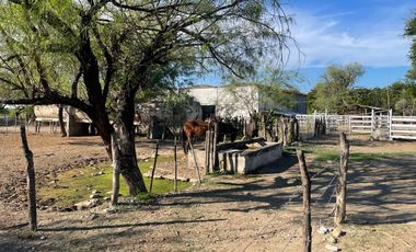 RANCHO EN VENTA EN CADEREYTA JIMENEZ, NUEVO LEON, ACTUALMENTE OPERANDO,TIERRAS MUY FERTILES, ABUNDANTE AGUA, FLORA Y FAUNA, 76.52 HAS,
