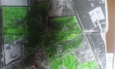 RANCHO EN VENTA EN CADEREYTA JIMENEZ, NUEVO LEON, ACTUALMENTE OPERANDO,TIERRAS MUY FERTILES, ABUNDANTE AGUA, FLORA Y FAUNA, 76.52 HAS,