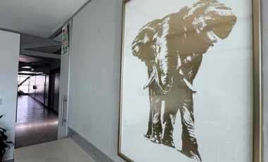 BODEGA EN VENTA EN CUAUTITLÁN IZCALLI Carretera Mx-Qro cerca de Alpura