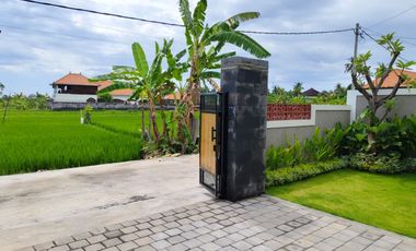 Villa Baru View Sawah & Bukit di Lovina Buleleng | SHM | 3 Kamar