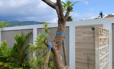 Villa Baru View Sawah & Bukit di Lovina Buleleng | SHM | 3 Kamar