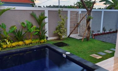 Villa Baru View Sawah & Bukit di Lovina Buleleng | SHM | 3 Kamar