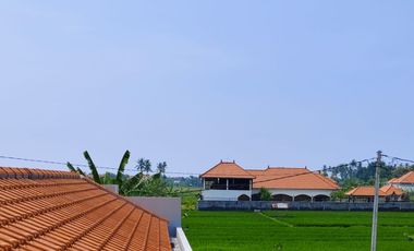 Villa Baru View Sawah & Bukit di Lovina Buleleng | SHM | 3 Kamar