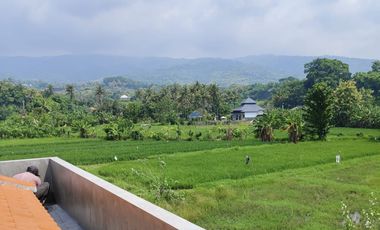 Villa Baru View Sawah & Bukit di Lovina Buleleng | SHM | 3 Kamar
