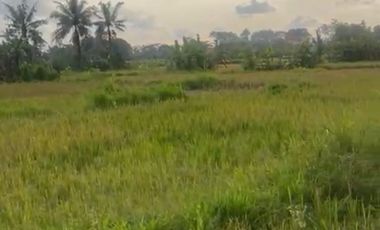 Tanah langka super murah full view sawah abadi