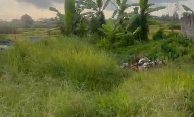 Tanah langka super murah full view sawah abadi