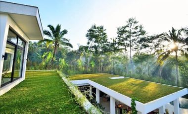 Luxury villa mewah full view jungle ubud bali