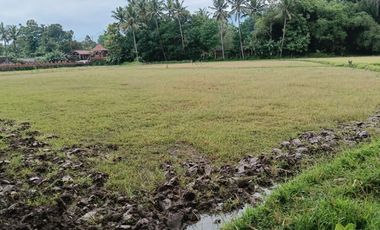 Di Jual Kavling Kosong di Magelang