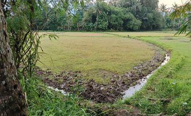 Di Jual Kavling Kosong di Magelang