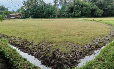 Di Jual Kavling Kosong di Magelang