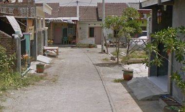 LELANG Golden berry Blok DD -023 ,kel/kec.menganti