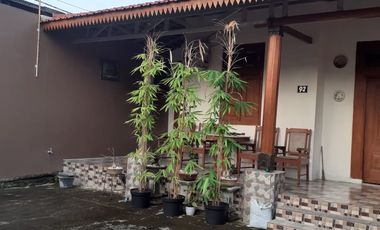 Rumah Etnik Jawa Sangat Nyaman di Tengah Kota Cirebon