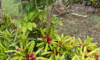 ✨Un Diamante Turístico con Proyección Internacional 5000m zona turismo Santandercito Cundinamarca Colombia 🇨🇴