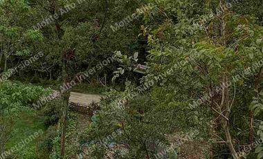 ✨Un Diamante Turístico con Proyección Internacional 5000m zona turismo Santandercito Cundinamarca Colombia 🇨🇴