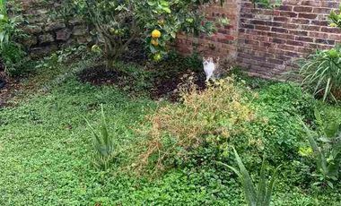 ✨Un Diamante Turístico con Proyección Internacional 5000m zona turismo Santandercito Cundinamarca Colombia 🇨🇴