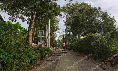 ✨Un Diamante Turístico con Proyección Internacional 5000m zona turismo Santandercito Cundinamarca Colombia 🇨🇴