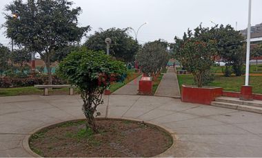 1153325 Terreno Cerca A La Panamericana Norte Y Comisaria