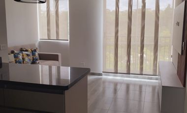 Renta apartamento amoblado