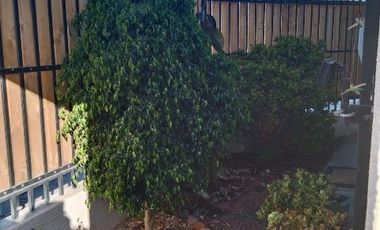 Sector Residencial VILLA LOS REGIDORES - Vallenar