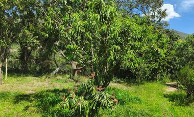 Venta de Casa, 3 Dormitorios, La Pampa, Quito, Ecuador