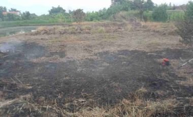 Tanah pekarangan siap bangun murah ukuran jumbo dibalongbendo sidoarjo